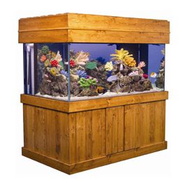 100 gallon freshwater fish tank